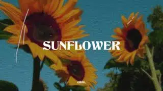 elite. - Sunflower