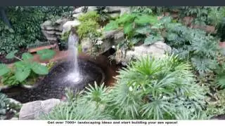 Tucson LANDSCAPING IDEAS | Landscape today