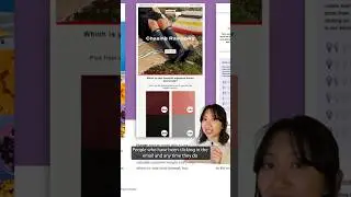 How to Use Social Proof and Live Polls in Email Marketing