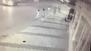 KANGAL VS ALMAN KURDU 😱