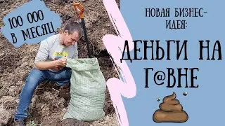 Как в деревне сделать 100 тысяч в месяц без вложений