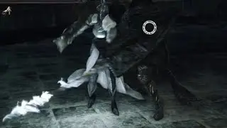 DARK SOULS II: Robbes vs Throne Watcher & Defender