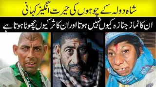 Doly Shah Kay Choohay Ki History By Anmol Such |New Short Stories 2021 | Urdu & Hindi