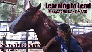 Learning to Lead | Massacre Lake 2023 day 2 pt 2
