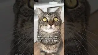 Je suis portier.. 😭