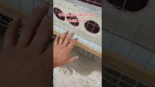 TOVUQLAR UCHUN ZAMONAVIY KATAKLAR