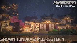 Minecraft Relaxing Longplay Ep 1 - Exploring the Lands of Ice | 🎵 c418 No Commentary 60 FPS
