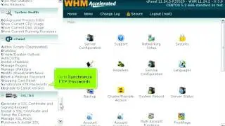 How to synchronize FTP passwords in WHM