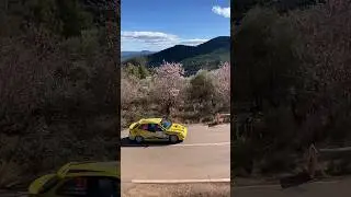 #rally