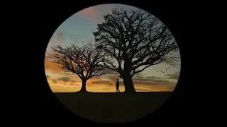 club 27 (demo)
