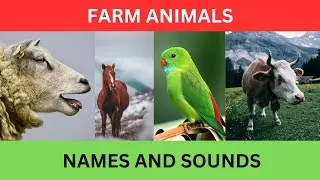 Learn Farm Animals Name and Sounds with Pictures