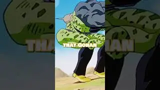 Goku Gets Too Much Hate For No Reason 