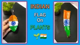 Indian flag on plant 🇮🇳🌱🤩 | @ankitas_art_hack | #indianflag #india #republicday