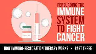 How ImmunoRestoration(R) Therapy Works PART 3 | Pennies in Action