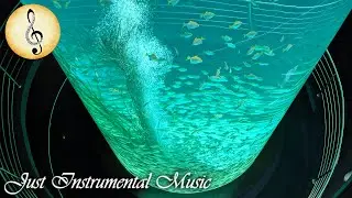Large Vertical Aquarium full of Fishes 🐟🐠 Short Video