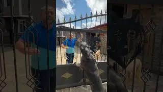 Mekana giren Türktelekom pişman oldu :)