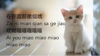 Lagu xiao pan pan & xiao feng feng.
