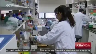 Infertility Cure: Chinese scientists create sperm from stem cells