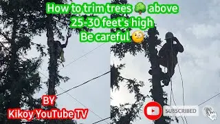 How to trim tree 25-30 feet's high(safety first) | KIKOY YouTube TV