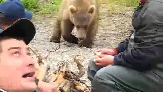 Дикая камчатка смотреть  всем