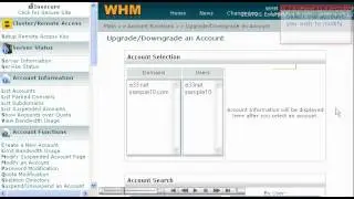 Upgrade account in whm