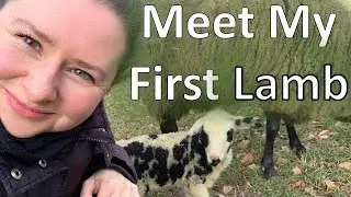 Lambing! 🐑 Meet My First Lamb | Season 2021