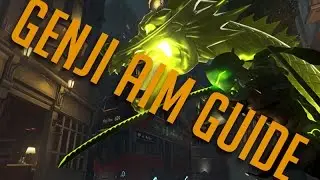 Genji Aim And Practice Guide