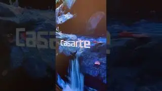 Открытие бутика премиальной бытовой техники #casarte #shorts🔥
