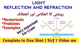 Light Reflection and Refraction class 10 Science | Numerical in One Shot |روشنی کا انعکاس اور انعطاف