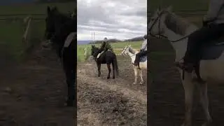 #экскурсия .Конные прогулки 😌в горах🏔#лошади #horse