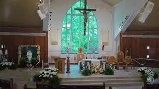 Daily Mass