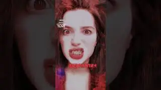 Неистовый зверь 