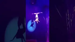 Circus "Vivat". Aerial Acrobats