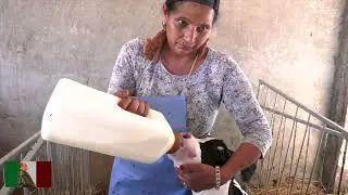 L'Italia che mi piace  - La Via del Latte  - S01 EP 2