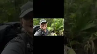 Hiking in Florida🌴🐊☀️Boots➡️ https://amzn.to/4bthrRy #florida #oboz #hiking