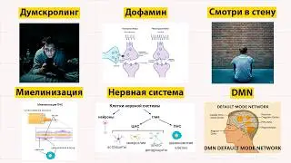 Это скучно, но это навсегда избавит тебя от деградации
