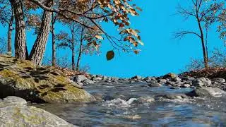 Blue Screen Landscape Background  Free VFX Stock Video HD