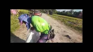 may nahuli kaming PAPA(wild duck) anihan na ng palay