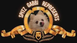 Metro Goldwyn Mayer 🐾 Spitz Gabby