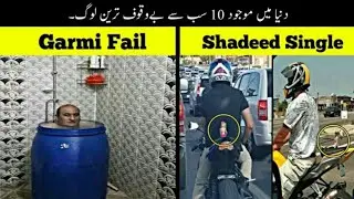 10 Most Stupid People in the world | Mr. Cheetah 🐯