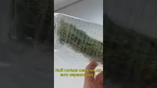 Укроп шевелит ногами!