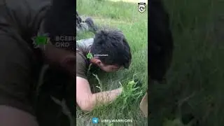 2 снайпера один зажмурился