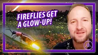 Firefly Photography | Capturing the Lightning Bugs