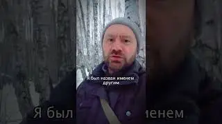 Все почти погибли