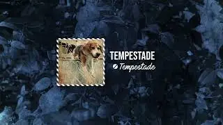 Drai - Tempestade