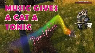 Music Gives A Cat A Tonic
