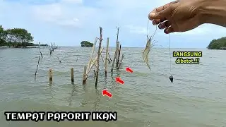 Don't underestimate it..!! Bamboo stakes like this become fish nests