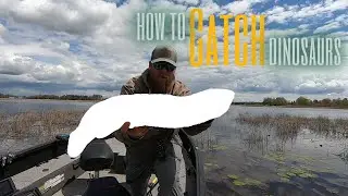 The Most Underrated Fish Around