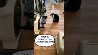 Jeder und jede kann Deutsch lernen! Ihr schafft das! #deutschlernen #learngerman #hoctiengduc