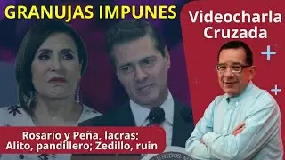 #VideocharlaCruzada | Corte llama intolerante a Sheinbaum; apocalipsis en Valencia por lluvias